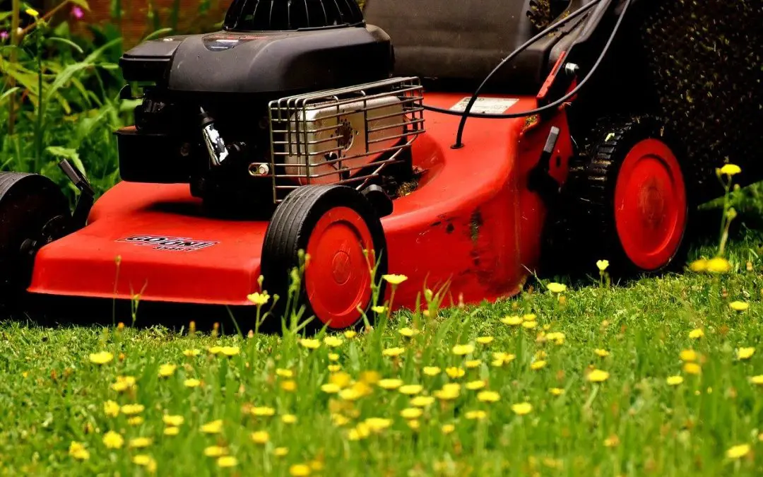 Mow Your Lawn the Right Way (Most People Don’t)
